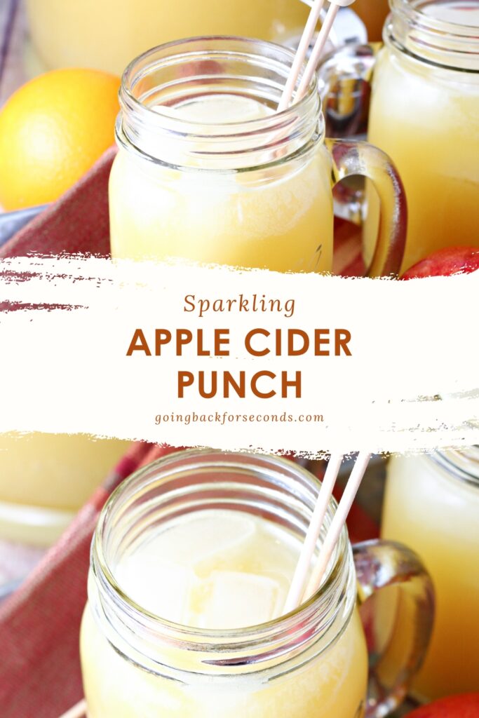 Sparkling Apple Cider Punch